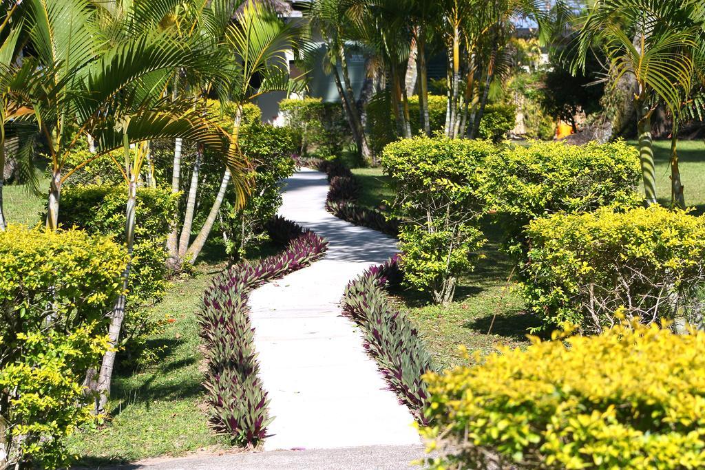 Mango Bay Resort Namatakula Exteriér fotografie